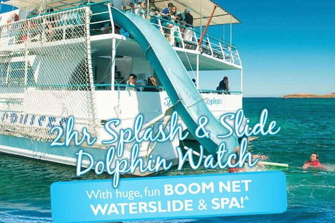 Port Stephens Dolphin Watching Cruise Including Splash And Slide - Attractions Sydney 0