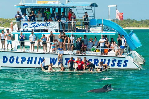 Port Stephens Dolphin Watching Cruise Including Splash And Slide - Attractions Sydney 1