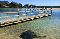 The Eurobodalla Experience Full day private tour including lunch