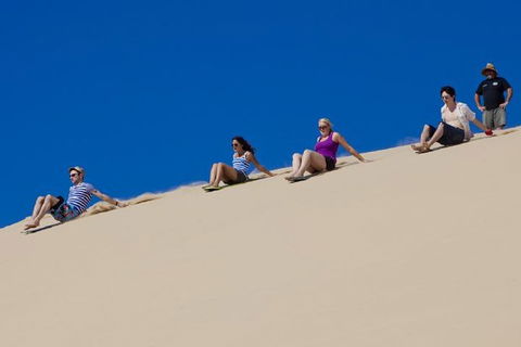 Port Stephens Day Tour From Sydney Including 4WD, Sandboarding And Dolphins - Attractions Sydney 1