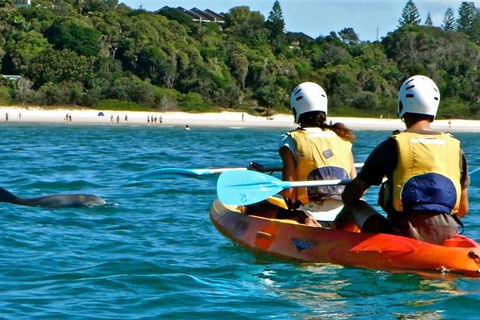 Byron Bay Kayaking With Dolphins And Mount Warning Sunrise Climb Including Overnight Camping And BBQ Dinner - Attractions Sydney 9