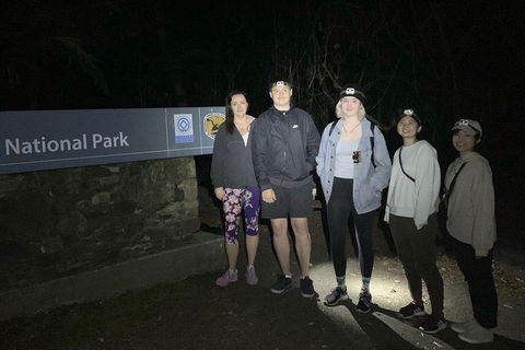 Byron Bay Kayaking With Dolphins And Mount Warning Sunrise Climb Including Overnight Camping And BBQ Dinner - Attractions Sydney 2