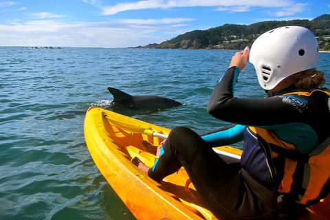 Byron Bay Kayaking With Dolphins And Mount Warning Sunrise Climb Including Overnight Camping And BBQ Dinner - Attractions Sydney 7
