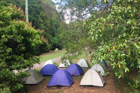 Byron Bay Kayaking With Dolphins And Mount Warning Sunrise Climb Including Overnight Camping And BBQ Dinner - Attractions Sydney 13
