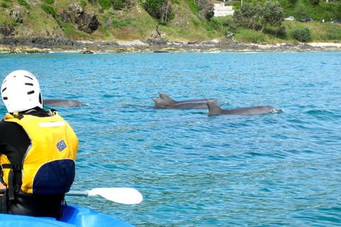 Byron Bay Kayaking With Dolphins And Mount Warning Sunrise Climb Including Overnight Camping And BBQ Dinner - Attractions Sydney 8
