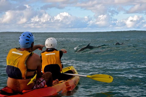 Byron Bay Kayaking With Dolphins And Mount Warning Sunrise Climb Including Overnight Camping And BBQ Dinner - Attractions Sydney 3