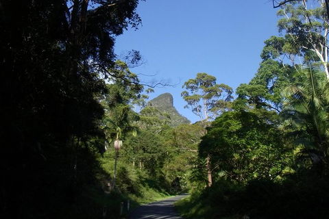 Mount Warning Day Trip From Byron Bay Including BBQ Lunch - Attractions Sydney 6