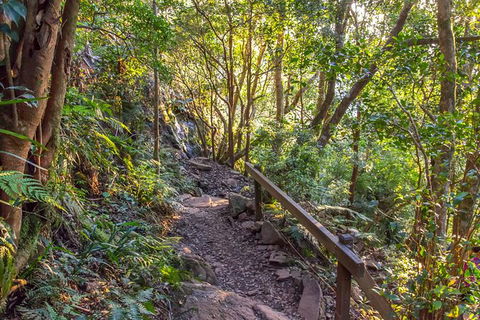 Mount Warning Day Trip From Byron Bay Including BBQ Lunch - Attractions Sydney 9