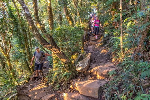 Mount Warning Day Trip From Byron Bay Including BBQ Lunch - Attractions Sydney 11
