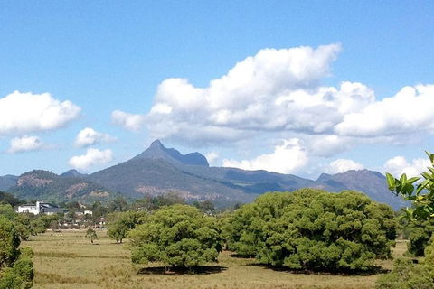 Mount Warning Day Trip From Byron Bay Including BBQ Lunch - Attractions Sydney 7