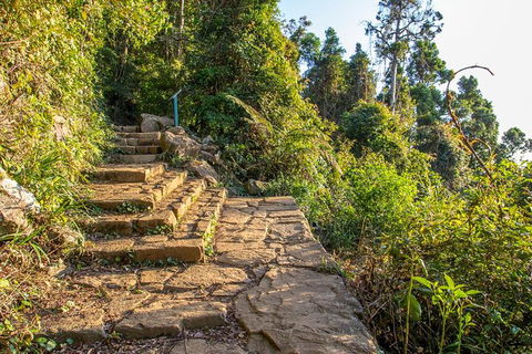 Mount Warning Day Trip From Byron Bay Including BBQ Lunch - Attractions Sydney 10