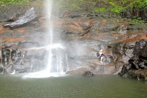Byron Bay Combo: Hinterland Tour Including Minyon Falls And Kayaking With Dolphins - Attractions Sydney 15