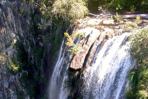 Byron Bay Combo: Hinterland Tour Including Minyon Falls And Kayaking With Dolphins - Attractions Sydney 20