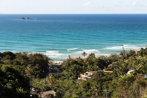 Byron Bay Combo: Hinterland Tour Including Minyon Falls And Kayaking With Dolphins - Attractions Sydney 2