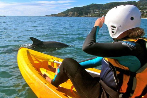 Byron Bay Combo: Hinterland Tour Including Minyon Falls And Kayaking With Dolphins - Attractions Sydney 1