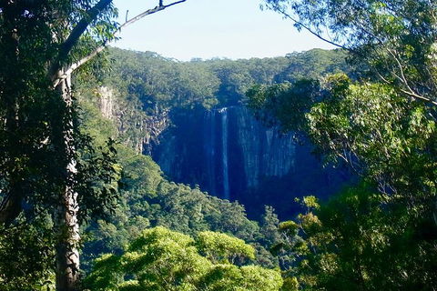 Byron Bay Combo: Hinterland Tour Including Minyon Falls And Kayaking With Dolphins - Attractions Sydney 5