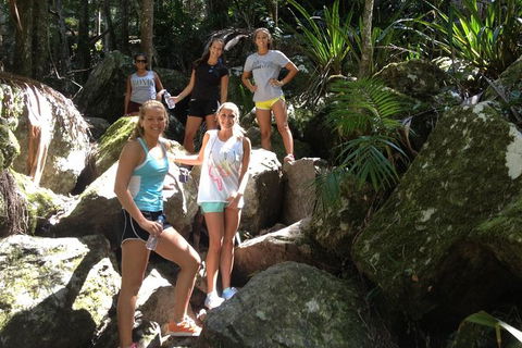 Byron Bay Combo: Hinterland Tour Including Minyon Falls And Kayaking With Dolphins - Attractions Sydney 7