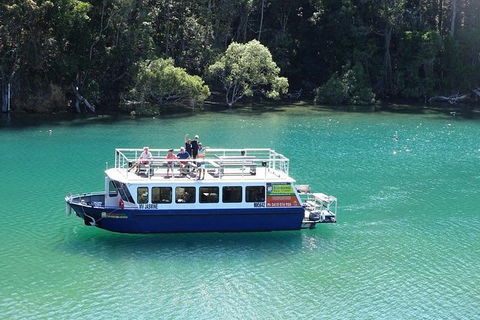Brunswick Heads Rainforest Eco-Cruise - Attractions Sydney 0