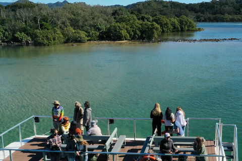 Brunswick Heads Rainforest Eco-Cruise - Attractions Sydney 8