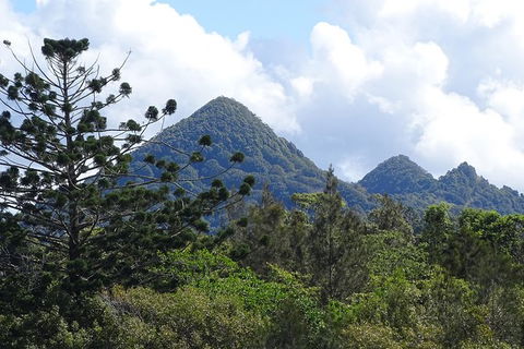 Brunswick Heads Rainforest Eco-Cruise - Attractions Sydney 3