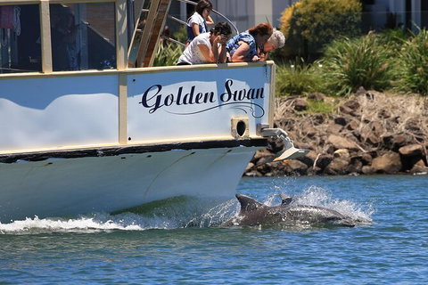 Tweed River And Rainforest Eco Cruise - Attractions Sydney 2