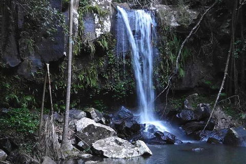 Personal, Private Chauffeur Driven Guided Tours - Attractions Sydney 1