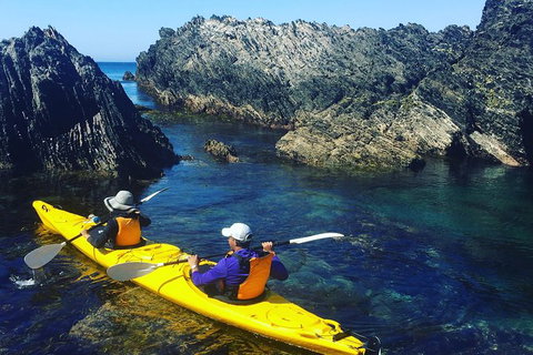 Half Day Sea Kayak Tour From Batemans Bay - Attractions Sydney 1