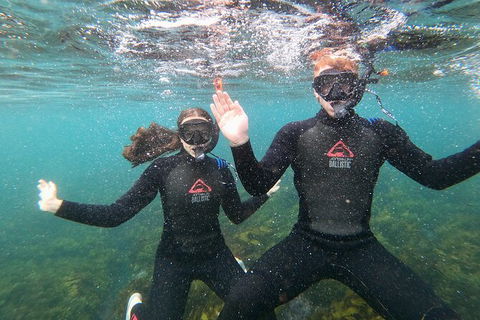 Manly Snorkel Trip And Nature Walk With Local Guide - Attractions Sydney 3