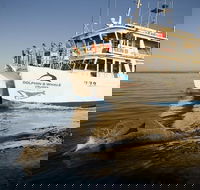 Jervis Bay Dolphin Watch Cruise - Attractions Sydney