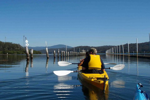 Batemans Bay Oyster Tasting Kayak Tour - Attractions Sydney 0