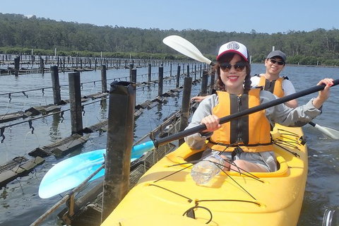 Batemans Bay Oyster Tasting Kayak Tour - Attractions Sydney 5