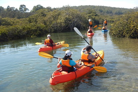 Batemans Bay Glass-Bottom Kayak Tour Over 2 Relaxing Hours - Attractions Sydney 4