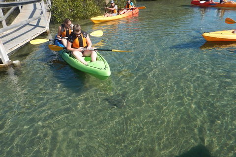 Batemans Bay Glass-Bottom Kayak Tour Over 2 Relaxing Hours - Attractions Sydney 5