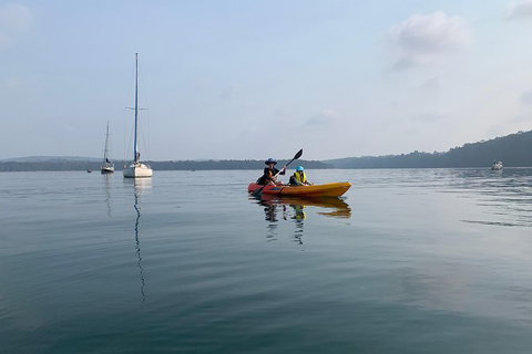 Batemans Bay Glass-Bottom Kayak Tour Over 2 Relaxing Hours - Attractions Sydney 7