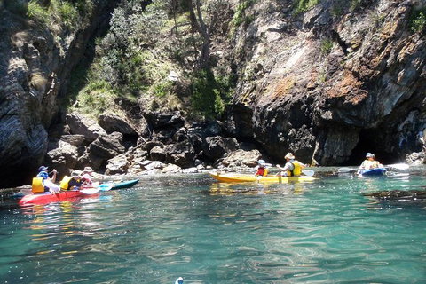 Batemans Bay Glass-Bottom Kayak Tour Over 2 Relaxing Hours - Attractions Sydney 3