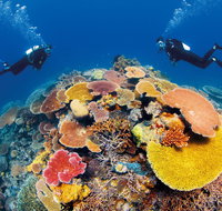Agincourt Reef - Attractions Sydney