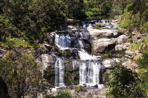 Agnes Falls Scenic Reserve - Attractions Sydney 0