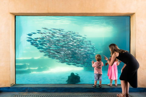 AQWA The Aquarium Of Western Australia - Attractions Sydney 0