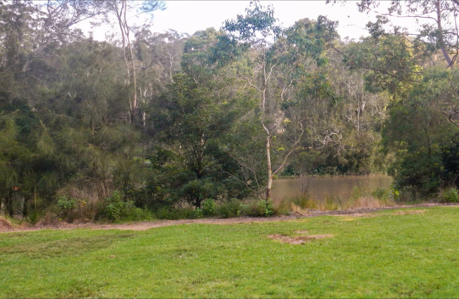 Lindfield NSW Attractions Sydney