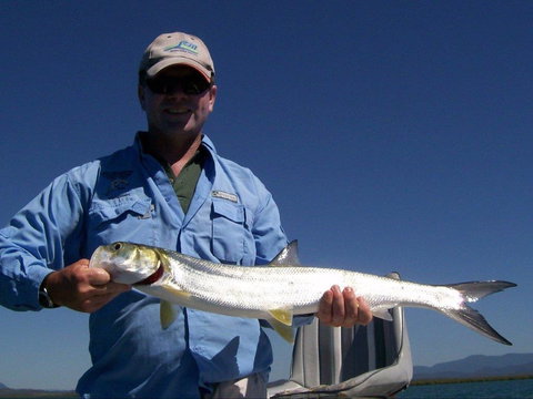 Barramundi To Trevally – A Seaforth Fishing Adventure - Attractions Sydney 2