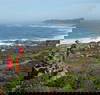 Bibbulmun Track - Attractions Sydney