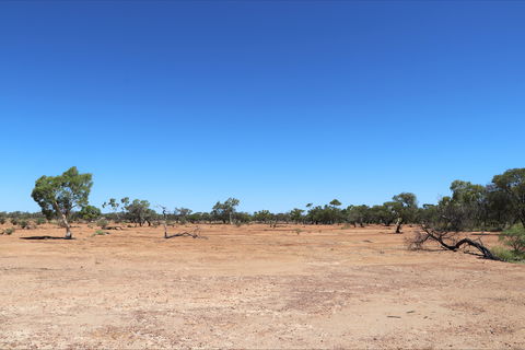Bladensburg National Park - Attractions Sydney 1