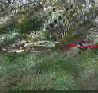 Bridgetown Jarrah Park - Attractions Sydney