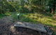 Browns Forest Loop Trail - thumb 0