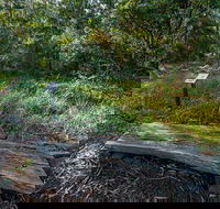 Browns Forest Loop Trail - Attractions Sydney