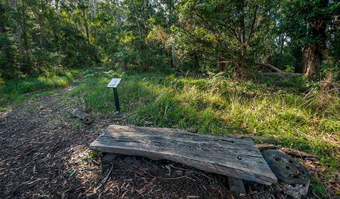 Browns Forest Loop Trail - Attractions Sydney 0