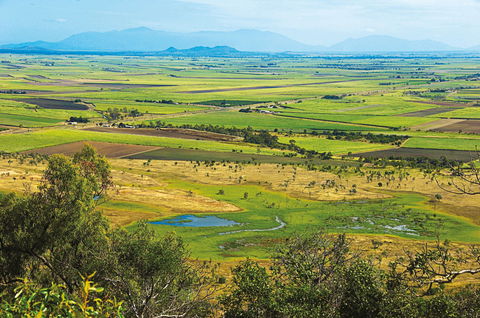 Burdekin - Attractions Sydney 1