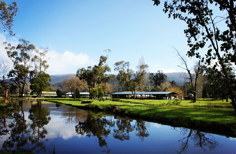 Buxton Trout And Salmon Farm - Attractions Sydney 2