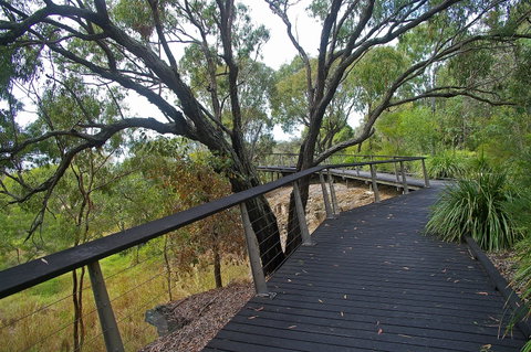 Canoe Point Beach And Parklands - Attractions Sydney 1