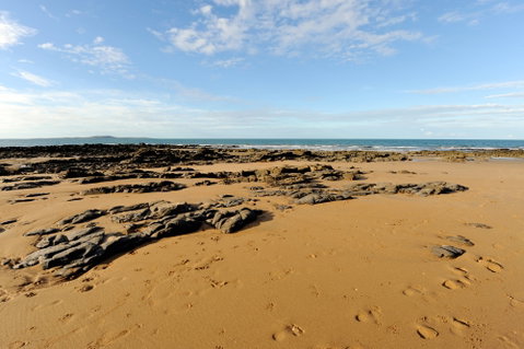 Canoe Point Beach And Parklands - Attractions Sydney 2